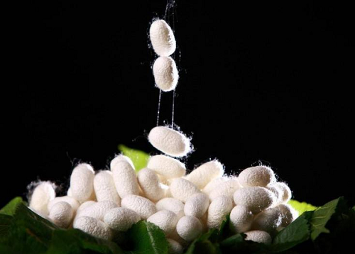 What are the natural fabrics? What are the advantages and disadvantages of natural fabrics?